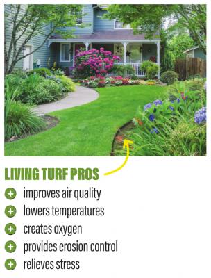 artificial turf