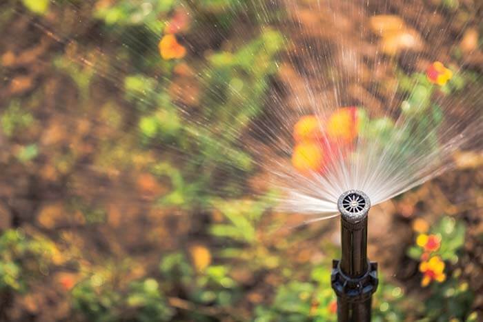 troubleshoot irrigation
