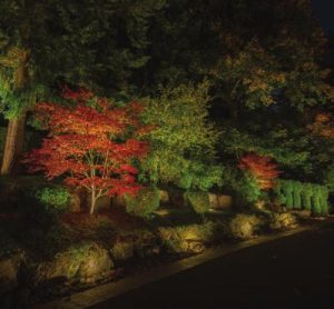 Oregon Outdoor Lighting