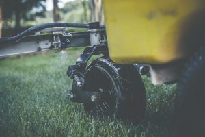 spring lawn care season