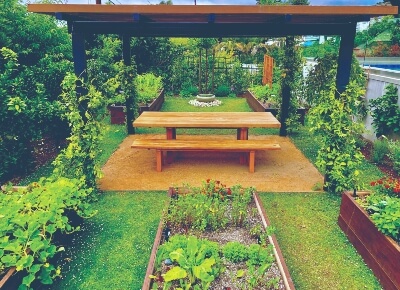 reduce landscape water
