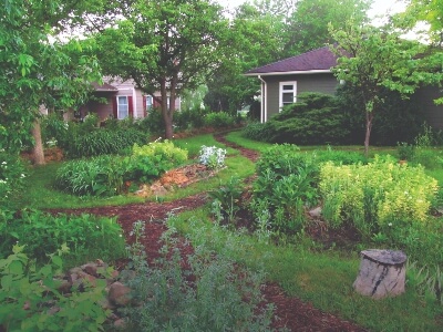 reduce landscape water