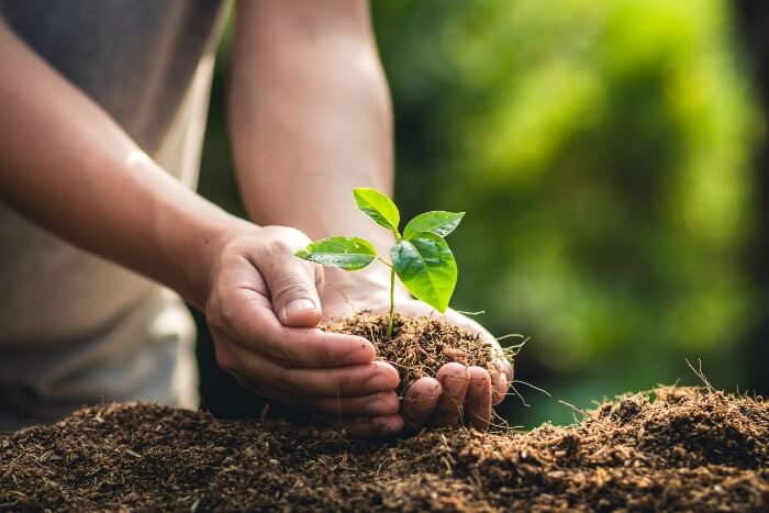 Northwest Louisiana Master Gardeners