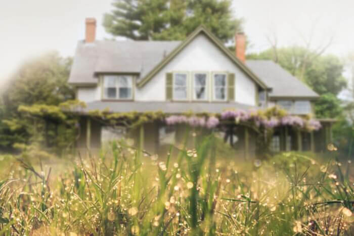sustainable landscaping