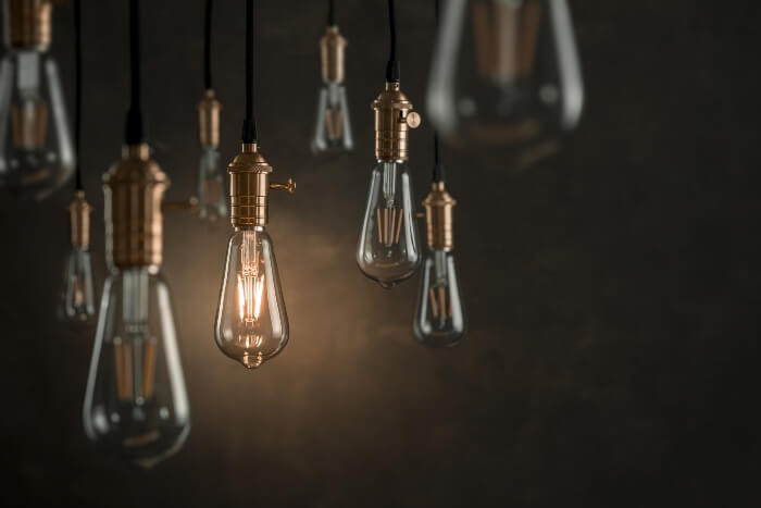 past landscape lighting entrepreneurs