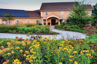 native plants