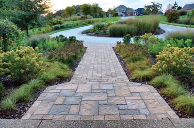 native plants