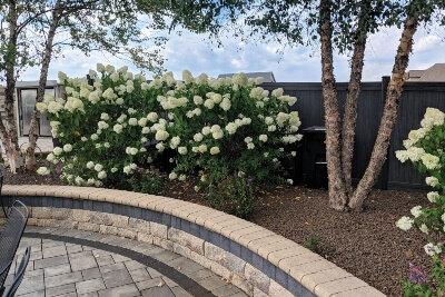 mulch