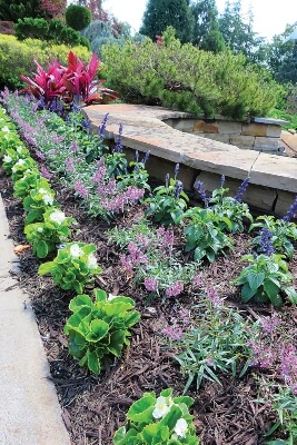 mulch