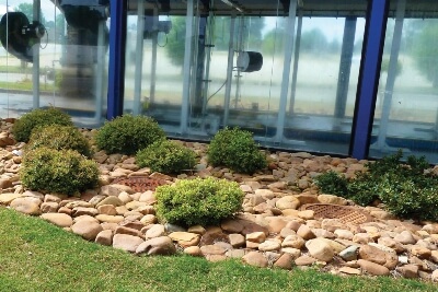 mulch