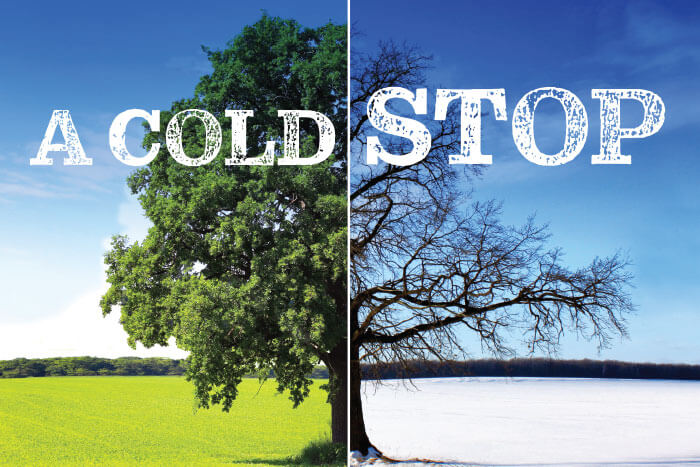 winterization process; winterization service, solution