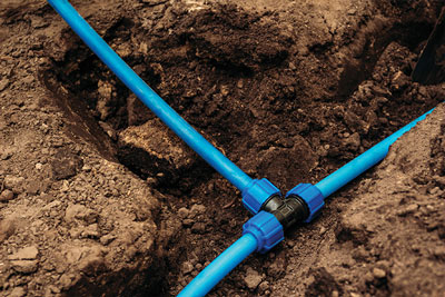 irrigation winter