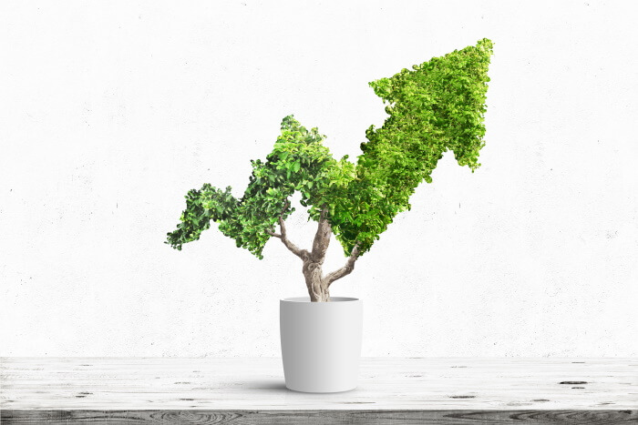 green industry increased growth