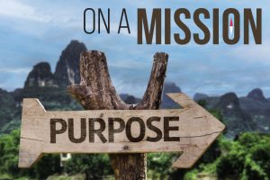 company mission statement purpose