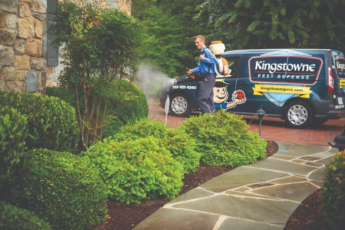 landscape contractors service needed